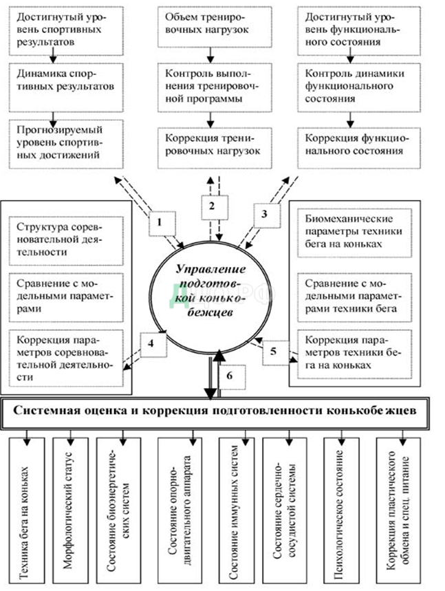 Реферат: Разносторонняя подготовка спортсмена и ее составляющие